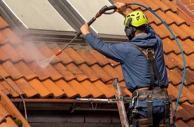 Démoussage et hydrofuge de toiture à Bugny